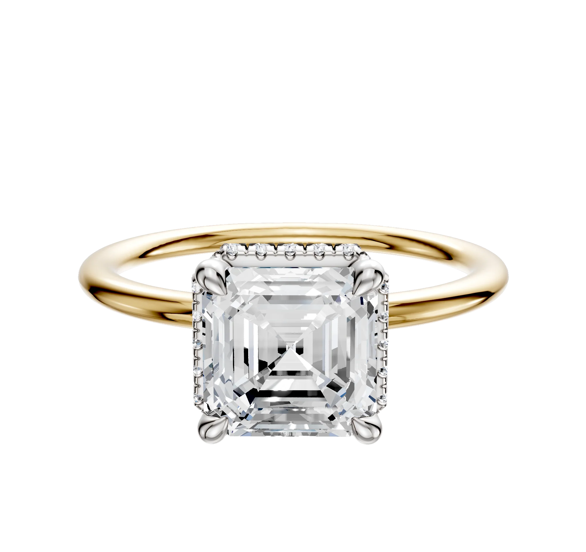 14K Two Tone 4 Prong Collar Classic Dome 1.5mm Engagement Ring